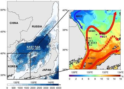 Influence of Sediment Resuspension on the Biological Pump of the Southwestern East Sea (Japan Sea)
